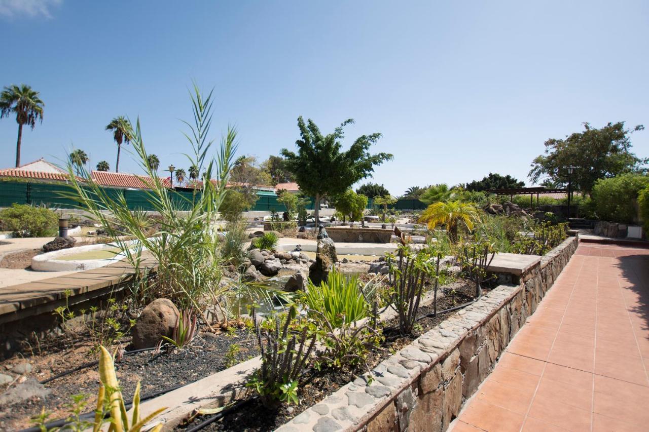 Serenity Garden Maspalomas  Extérieur photo